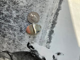 Wild horse ring