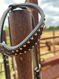 one ear headstall dark oil headstall 